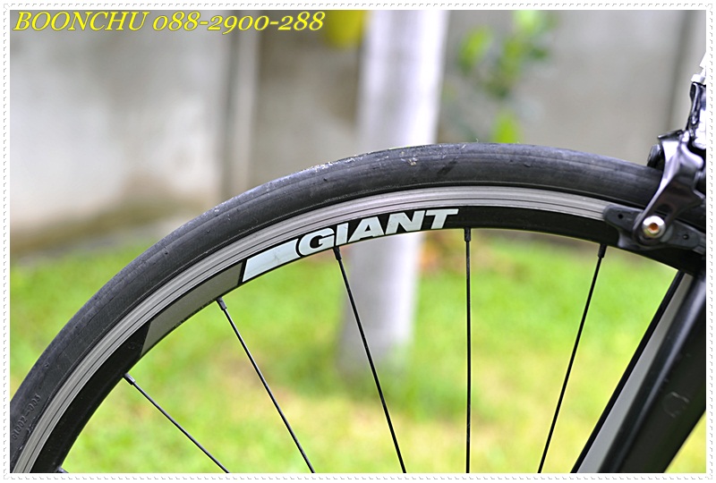 GIANT DEFY_22.JPG