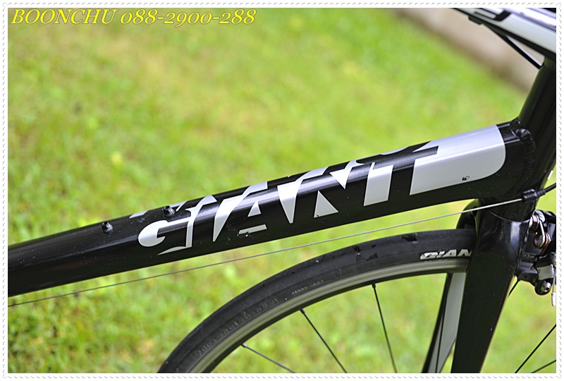 GIANT DEFY_25.JPG