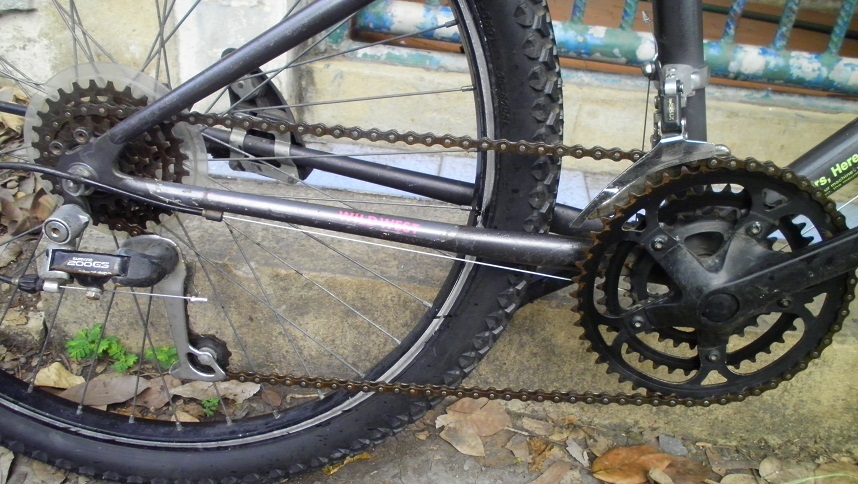 SANY0295.JPG