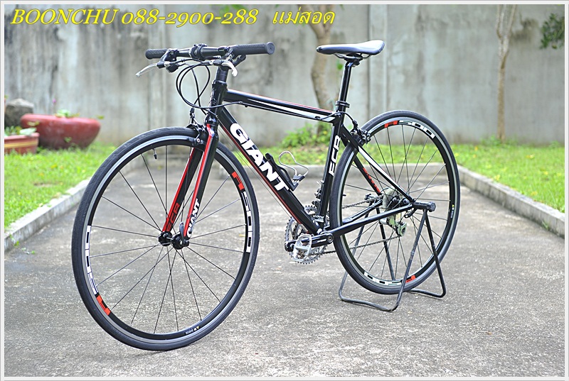 GIANT FCR_05.JPG
