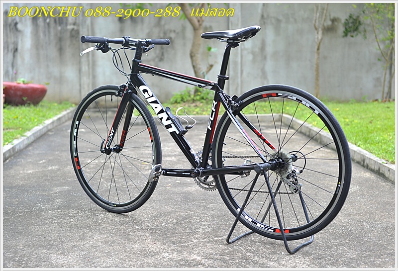 GIANT FCR_07.JPG