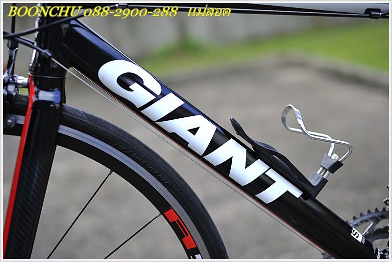 GIANT FCR_11.JPG