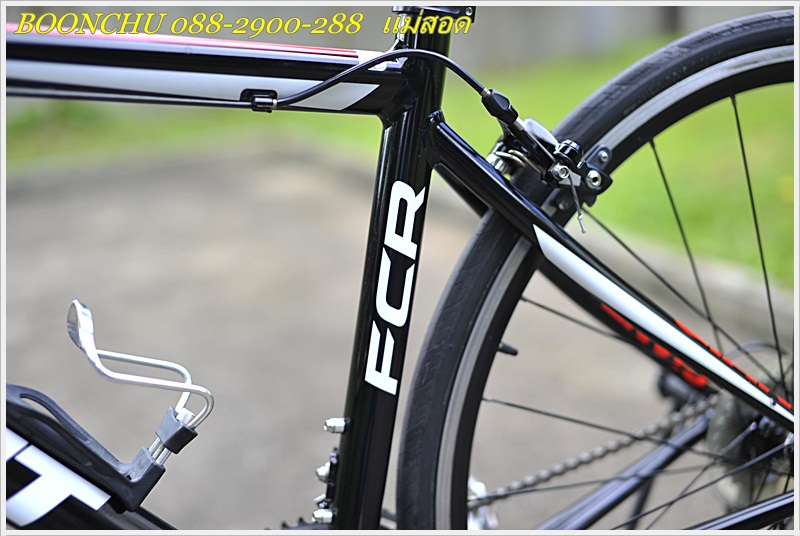 GIANT FCR_12.JPG