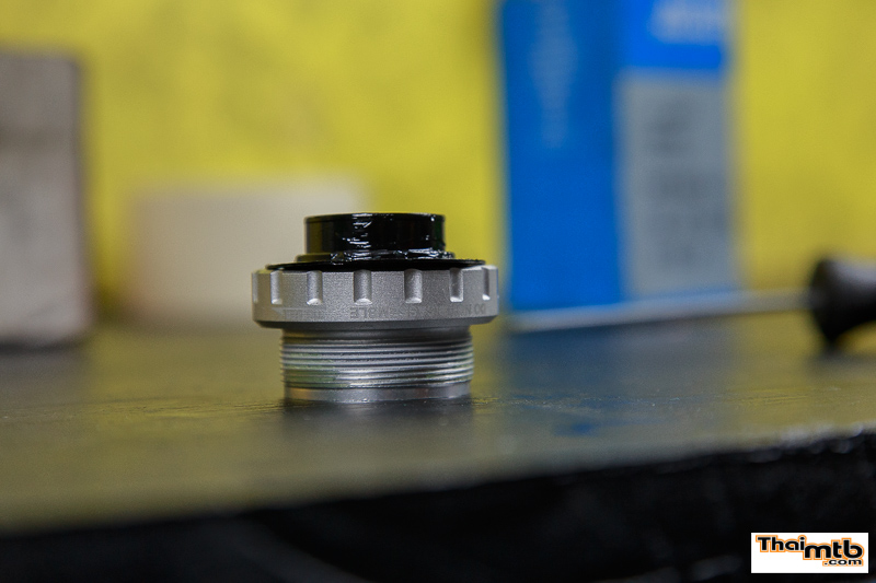 _MG_6672.jpg