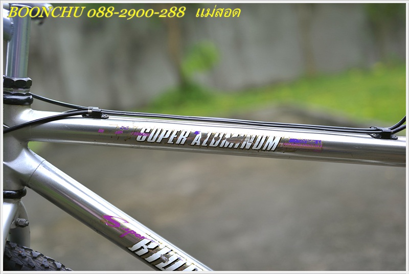 MIYATA_11.JPG