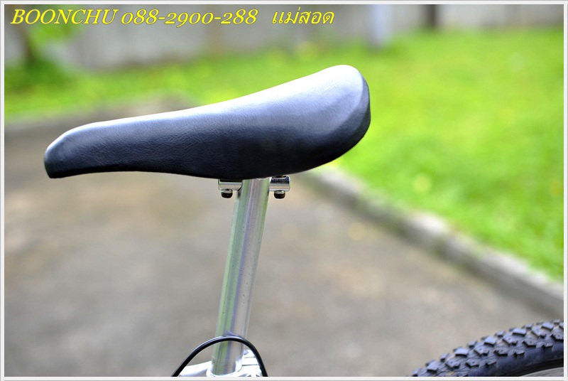MIYATA_13.JPG