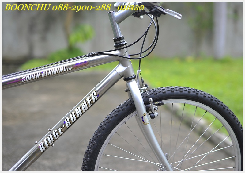 MIYATA_21.JPG