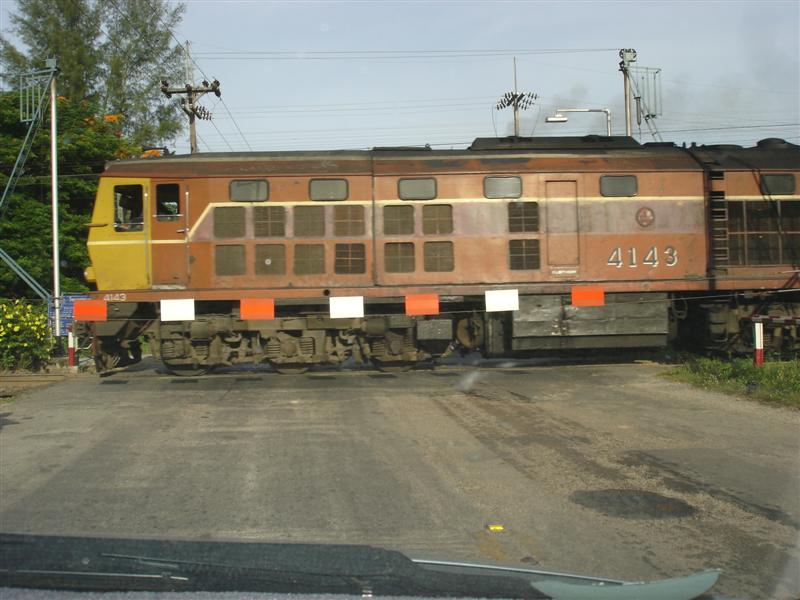 DSC00556 (Medium).JPG