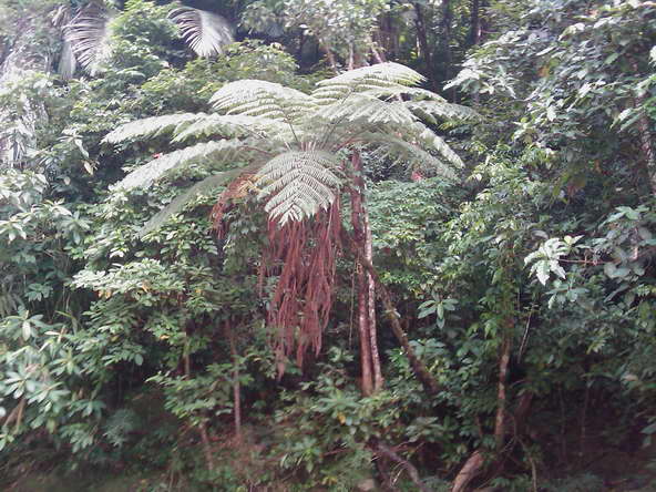 IMAGE_402_resize.jpg