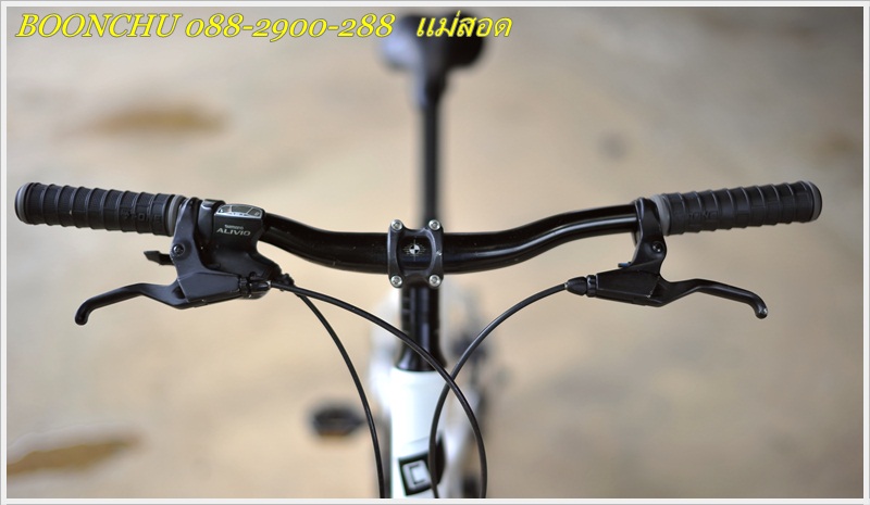 CANNONDALE_17.JPG