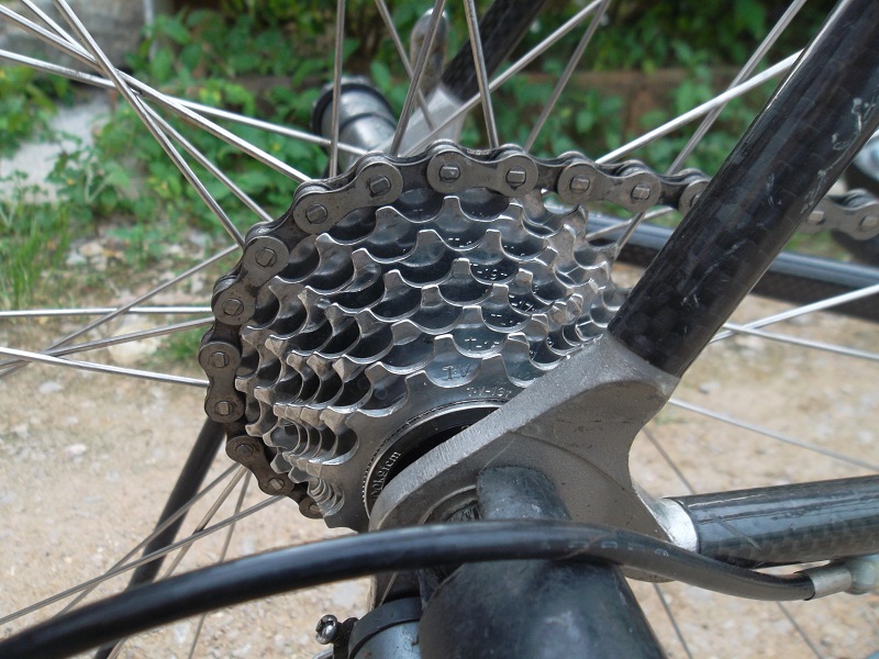 077.JPG