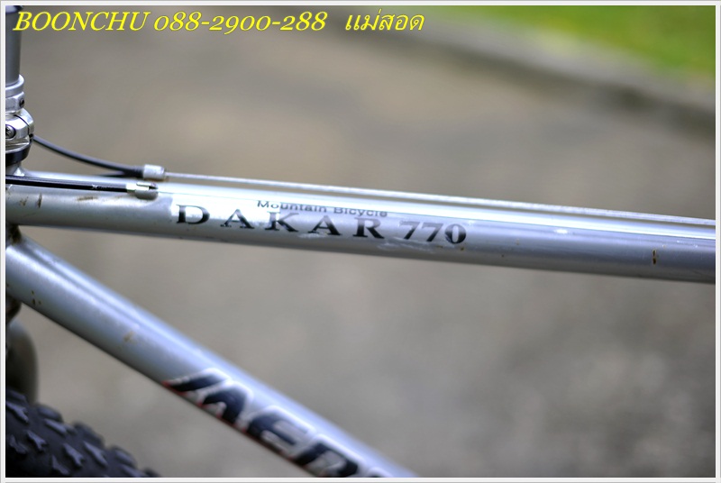 MERIDA_12.JPG