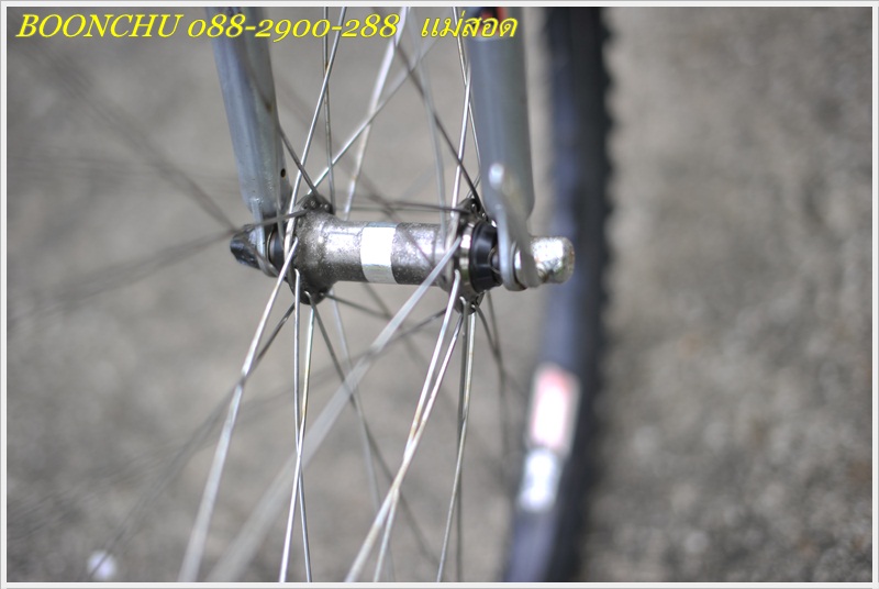 MERIDA_22.JPG