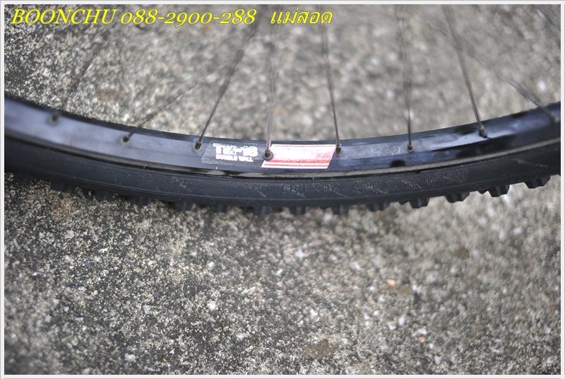 MERIDA_23.JPG