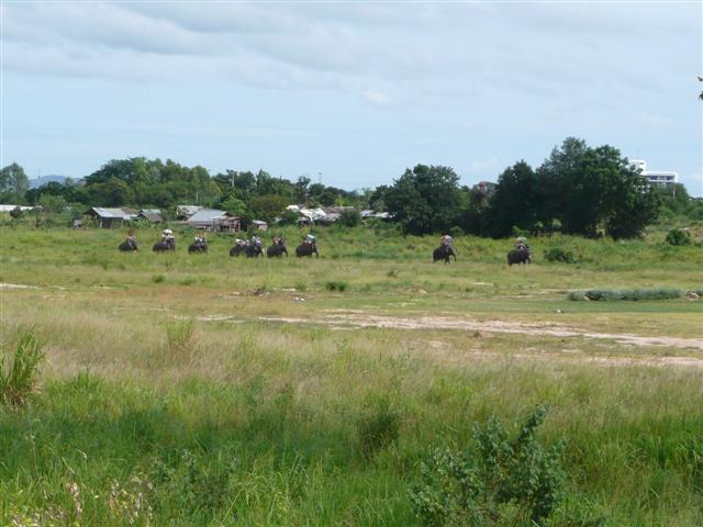 P1090168 (Small).JPG