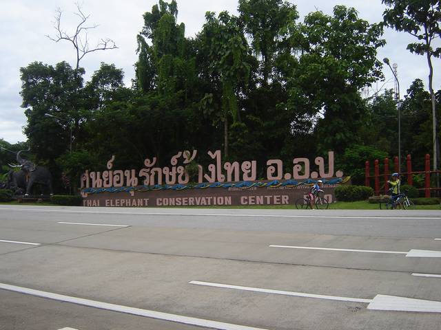 DSC09123.jpg