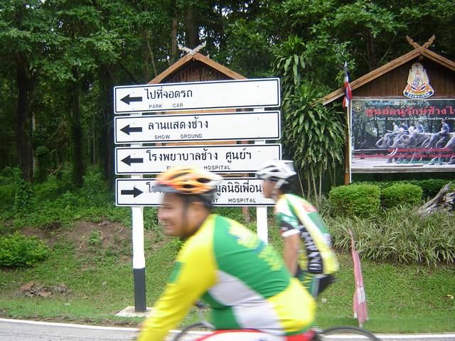 DSC09128.jpg