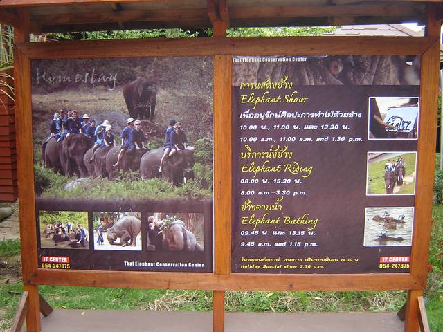 DSC09138.jpg