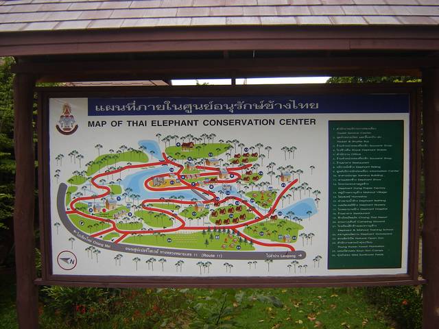 DSC09139.jpg