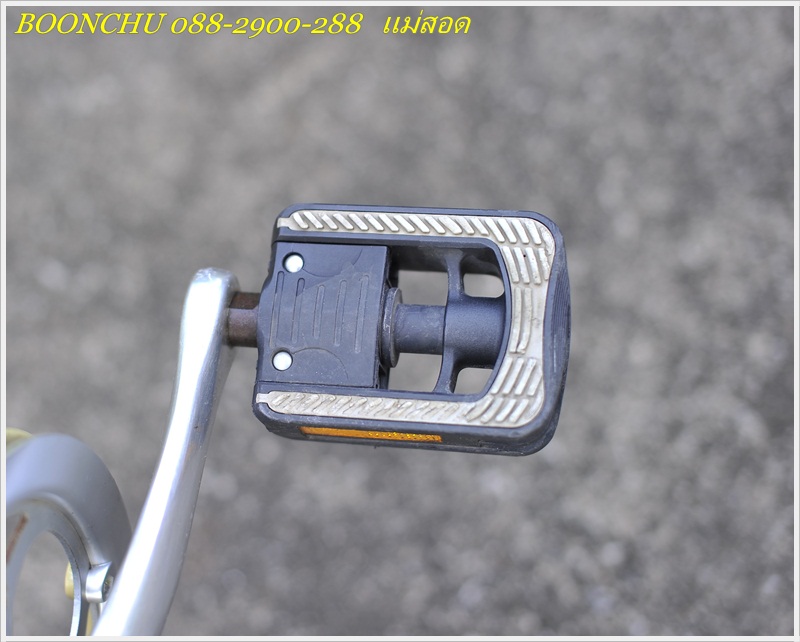 DAHON_25.JPG