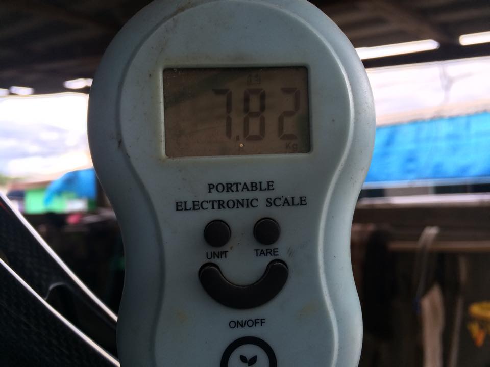 103.jpg