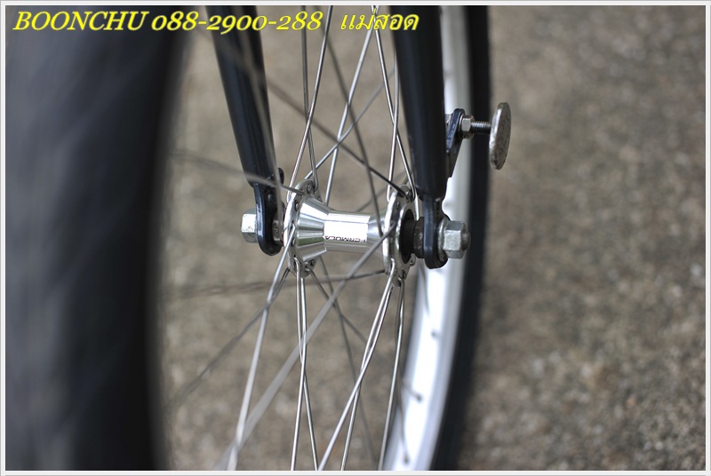 DAHON_18.JPG