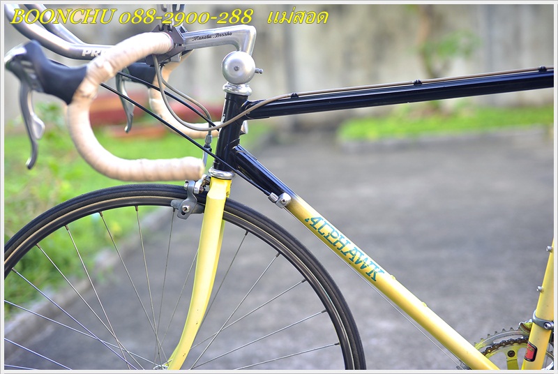 ALPHAWK_08.JPG