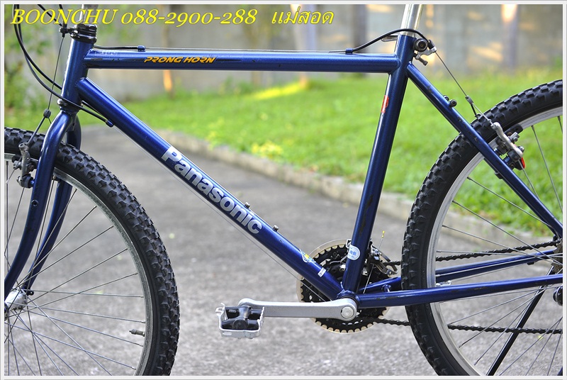 PRONG HORN_09.JPG