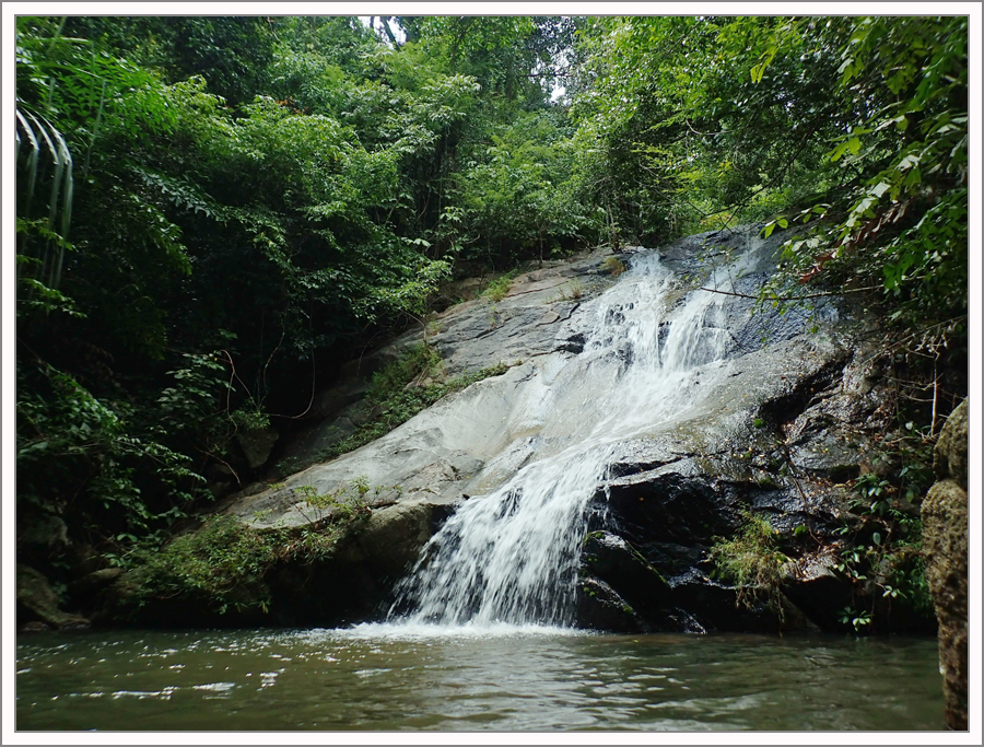 PA170277.jpg