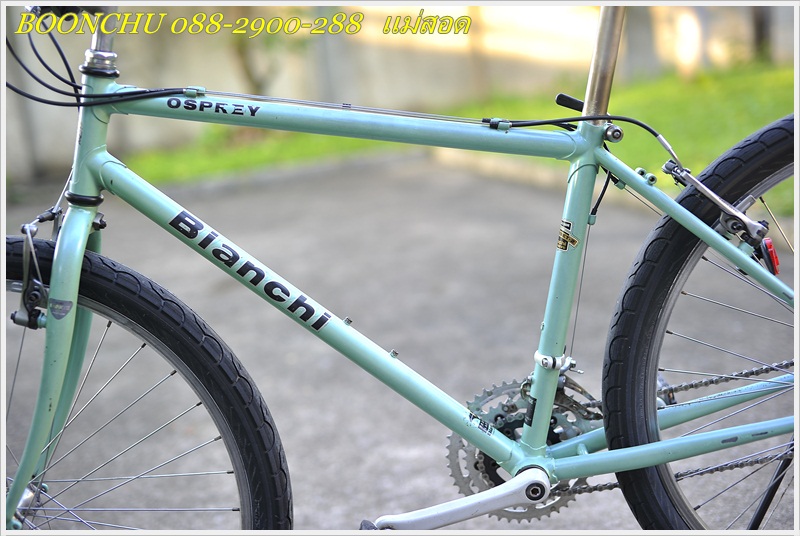 BIANCHI_10.JPG