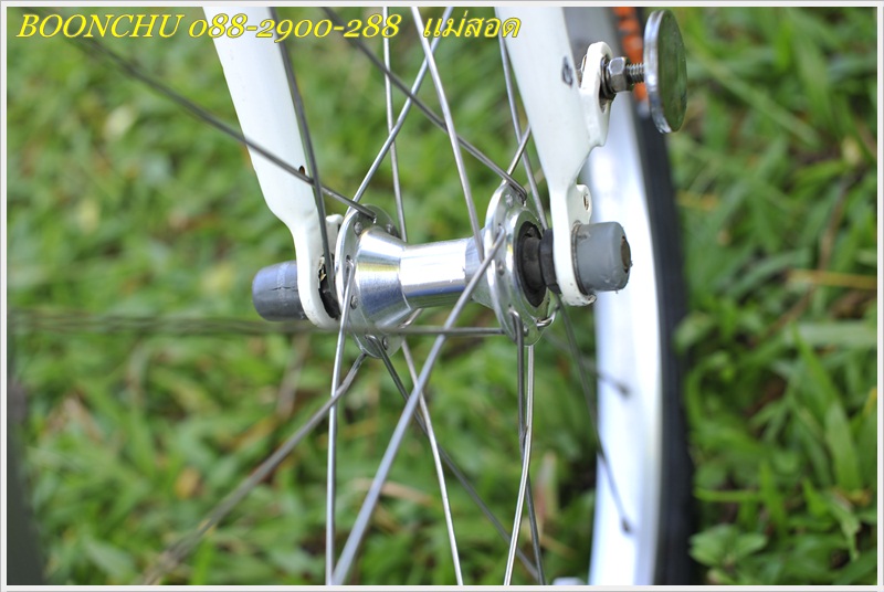 DAHON_17.JPG