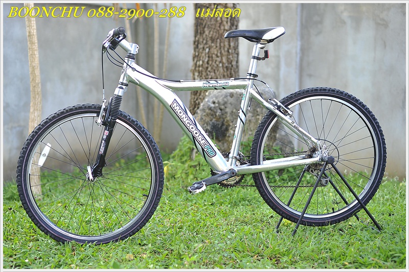 MONGOOSE_02.JPG