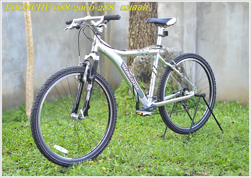 MONGOOSE_04.JPG
