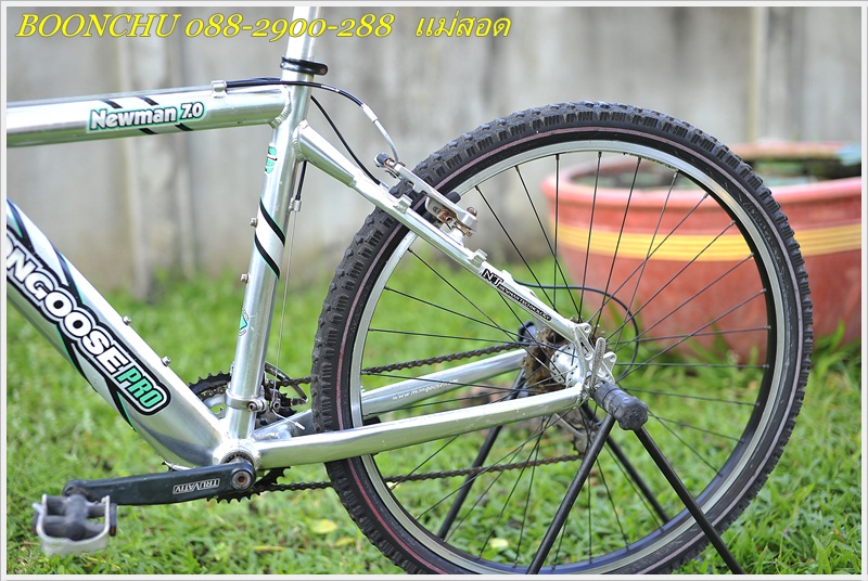 MONGOOSE_10.JPG