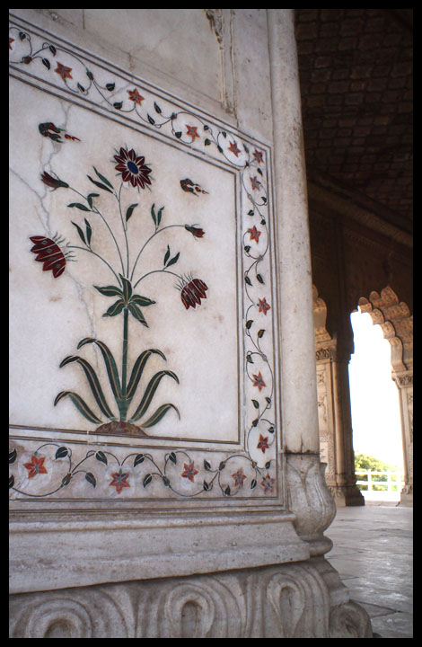 aP9103864.jpg