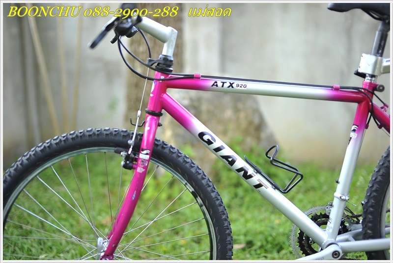 GIANT_08.JPG