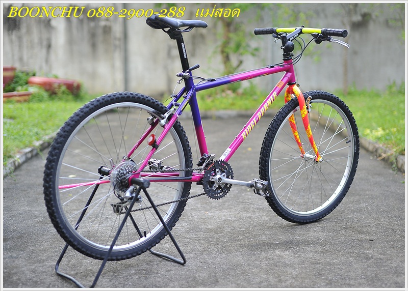 MIYATA_06.JPG