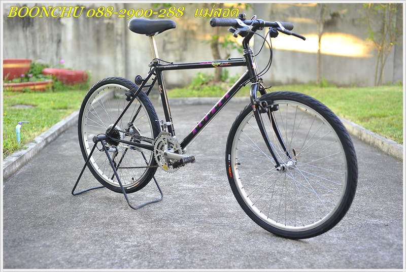 MIYATA_03.JPG