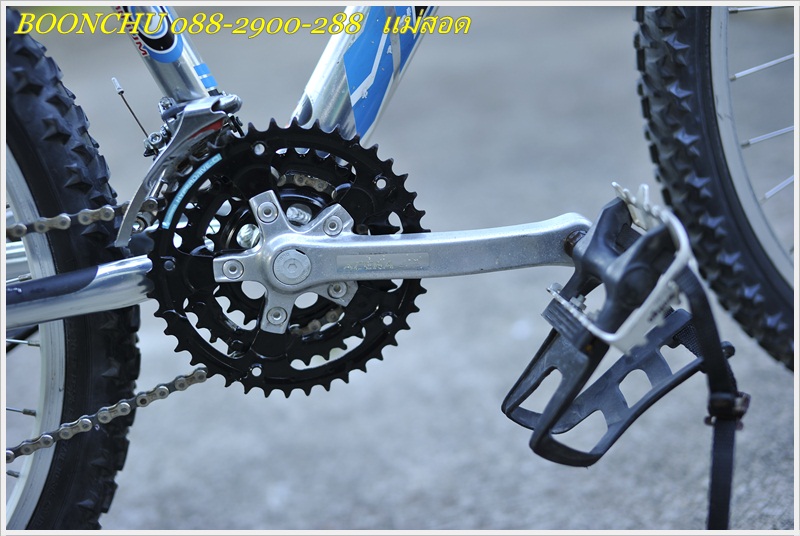 HARO_24.JPG
