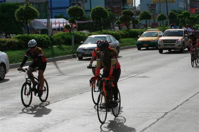 _MG_9803 (Medium) (Small).JPG