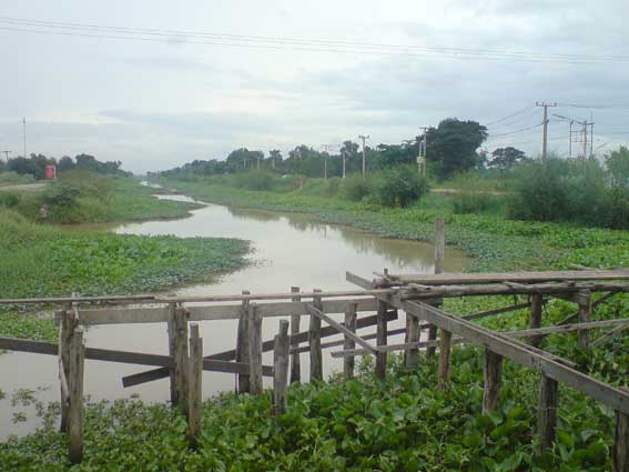 L10.JPG