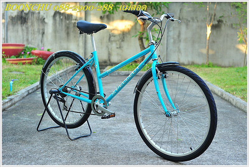 PEUGEOT_03.JPG
