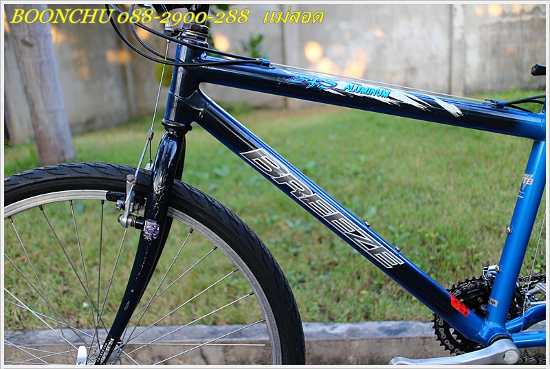 MIYATA_09.JPG