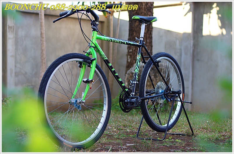 MIYATA_04.JPG