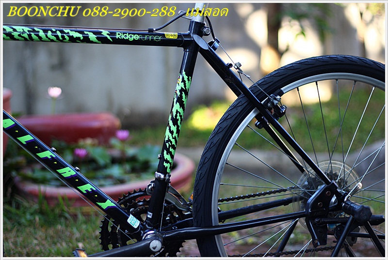 MIYATA_11.JPG