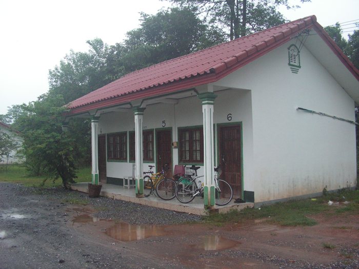 179.JPG