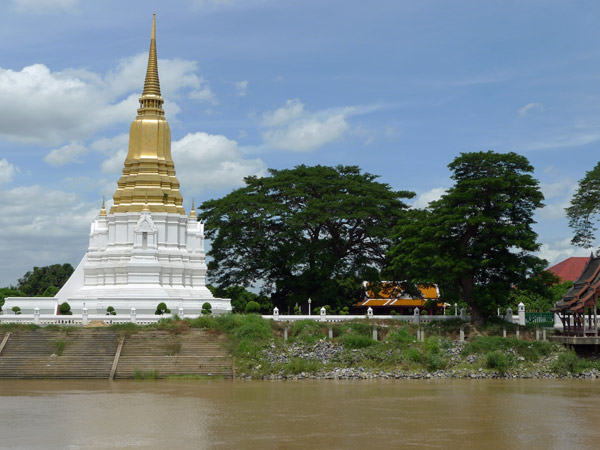 P1000970.jpg