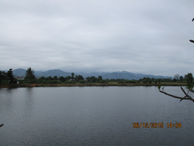 IMG_0474.JPG