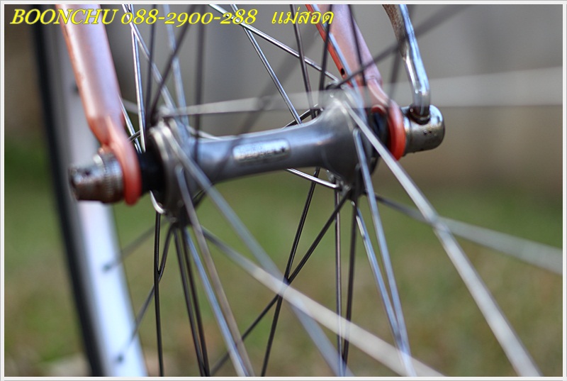 BIANCHI_24.JPG