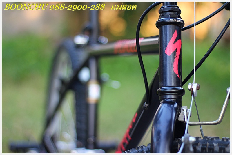 SPECIALIZED_09.JPG